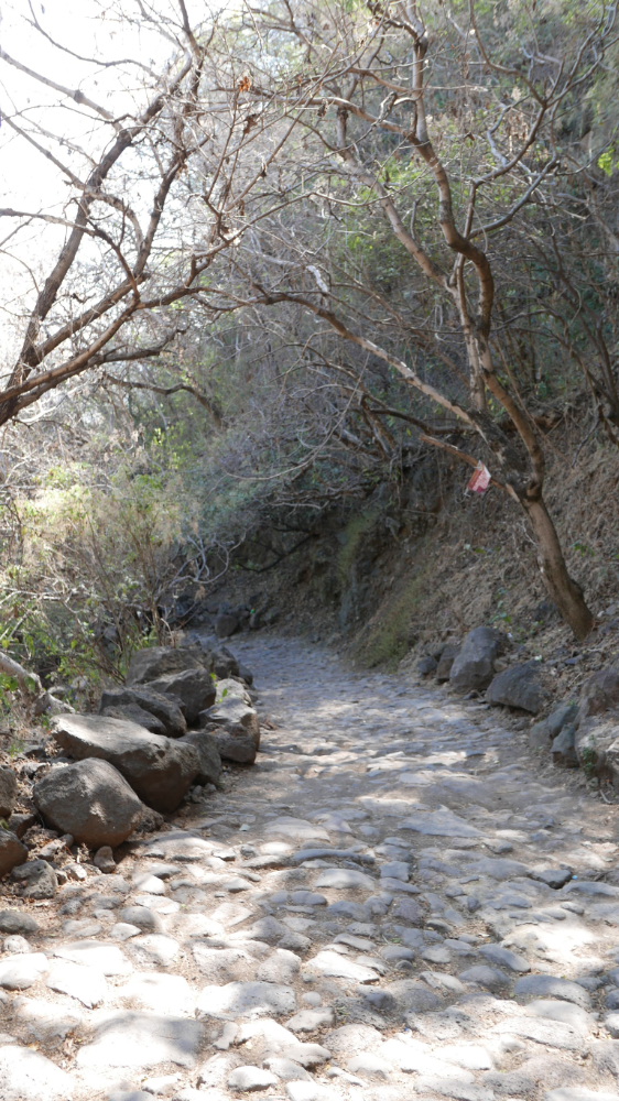 Rocky pathway down Barranca de Huentitan