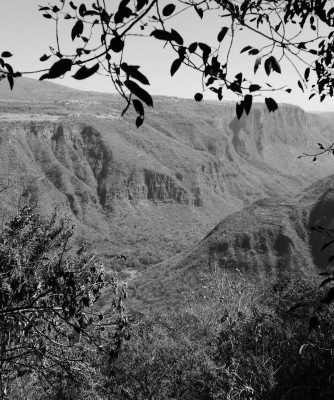Overview of Barranca de Huentitan canyon