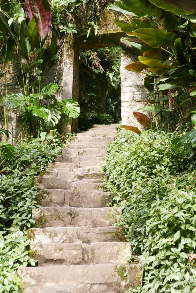 Staircase in Las Pozas surrealist garden in Xilitla