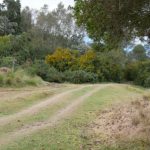 The first meadow. Go straight on for the wrong direction.... better turn left!