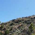 The rocky last stretch towards the summit of Santa Maria volcano