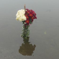 Flower sacrifice in Lake Chicabal