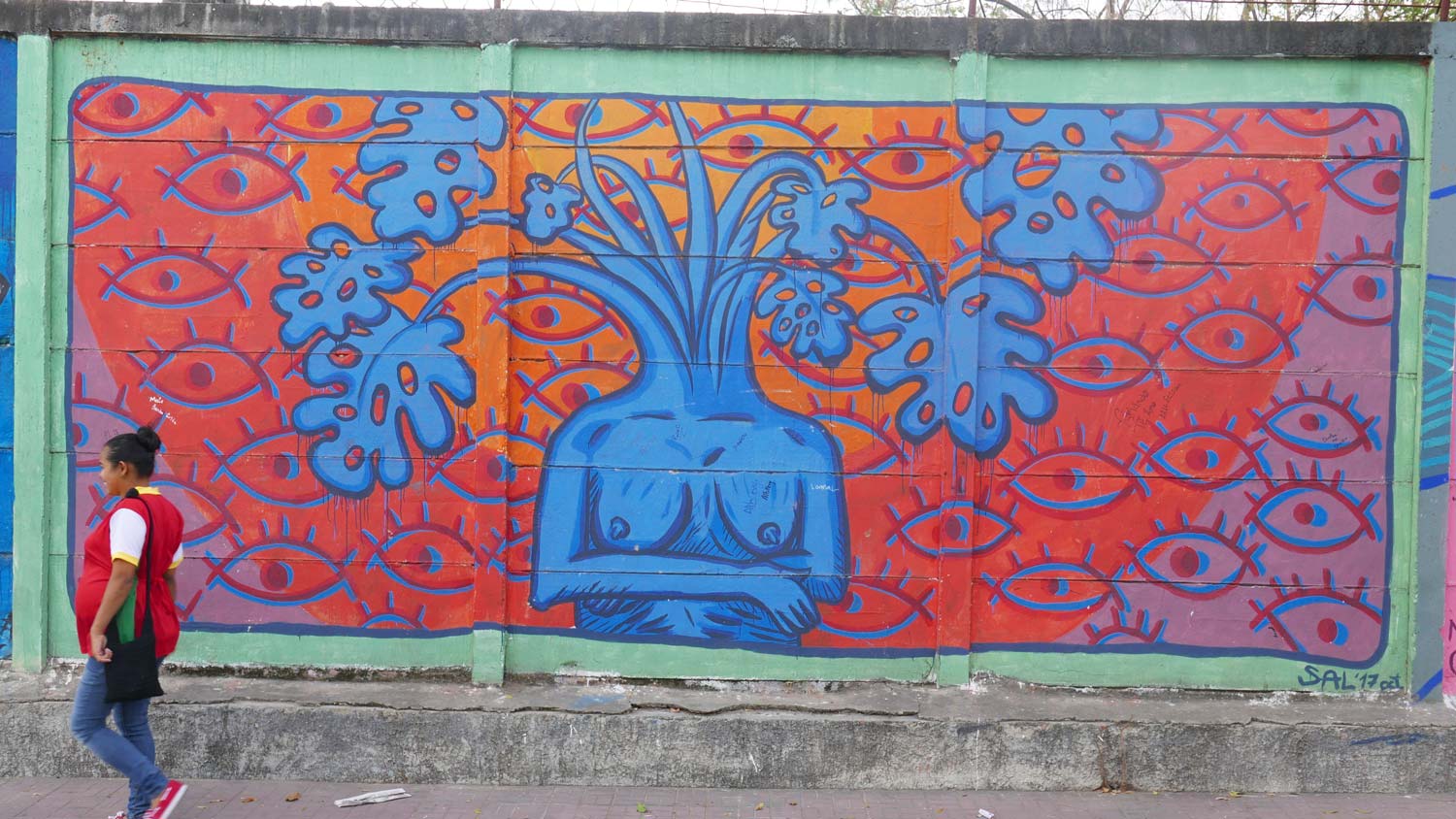 Naked woman plant graffiti in Esteli, Nicaragua