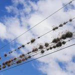 Electricity cables in Jinotega, Nicaragua