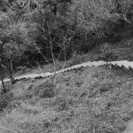 Pathway to the mountain top near Jinotega, Nicaragua