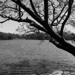 Lake in Charco Verde nature park on Ometepe island in Nicaragua