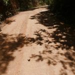 Dirt road in the sun back from Cerro Amigos