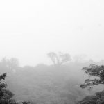 Dreamscape on Cerro Amigos in the Monteverde region