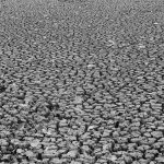 Dry lakebed in La Sabana park in San Jose, Costa Rica