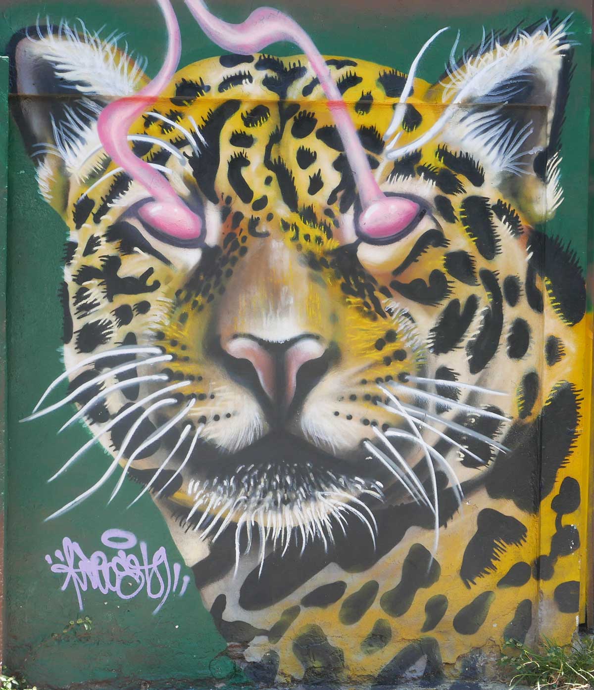 Lion. Street art in San Jose, Costa Rica