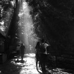 Walkway in magical sunlight in Agua Azul waterfalls in Mexico