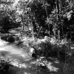 Rivers everywhere in Agua Azul waterfalls in Mexico