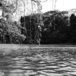 View from the boat in Las Isletas