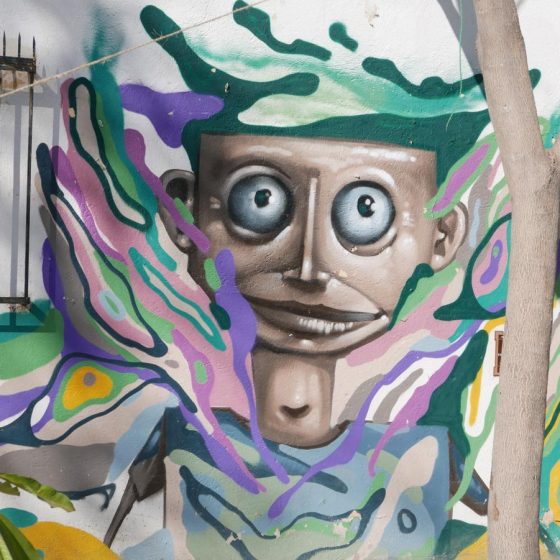 Street art in the Xochimilco district of Oaxaca city