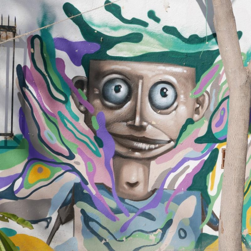 Street art in the Xochimilco district of Oaxaca city