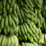 Banana stand in Ayampe