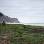 View of Ayampe beachView of Ayampe beach