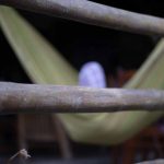 Hammock life in Ayampe