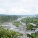 Amazon basin near Mera