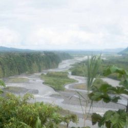 Amazon basin near Mera