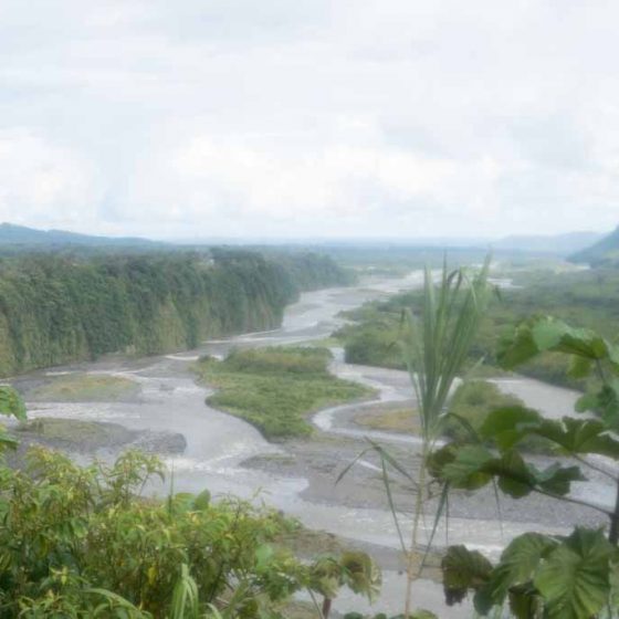 Amazon basin near Mera
