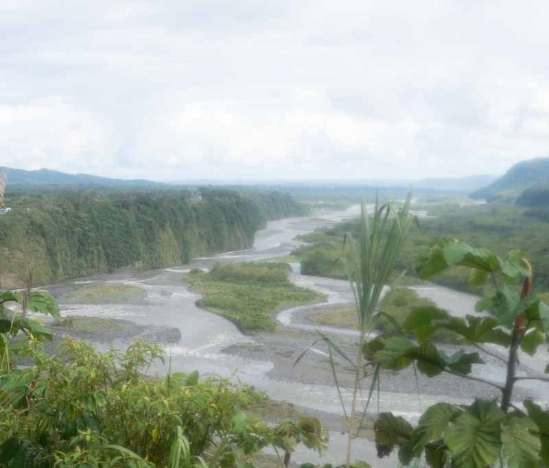 Amazon basin near Mera