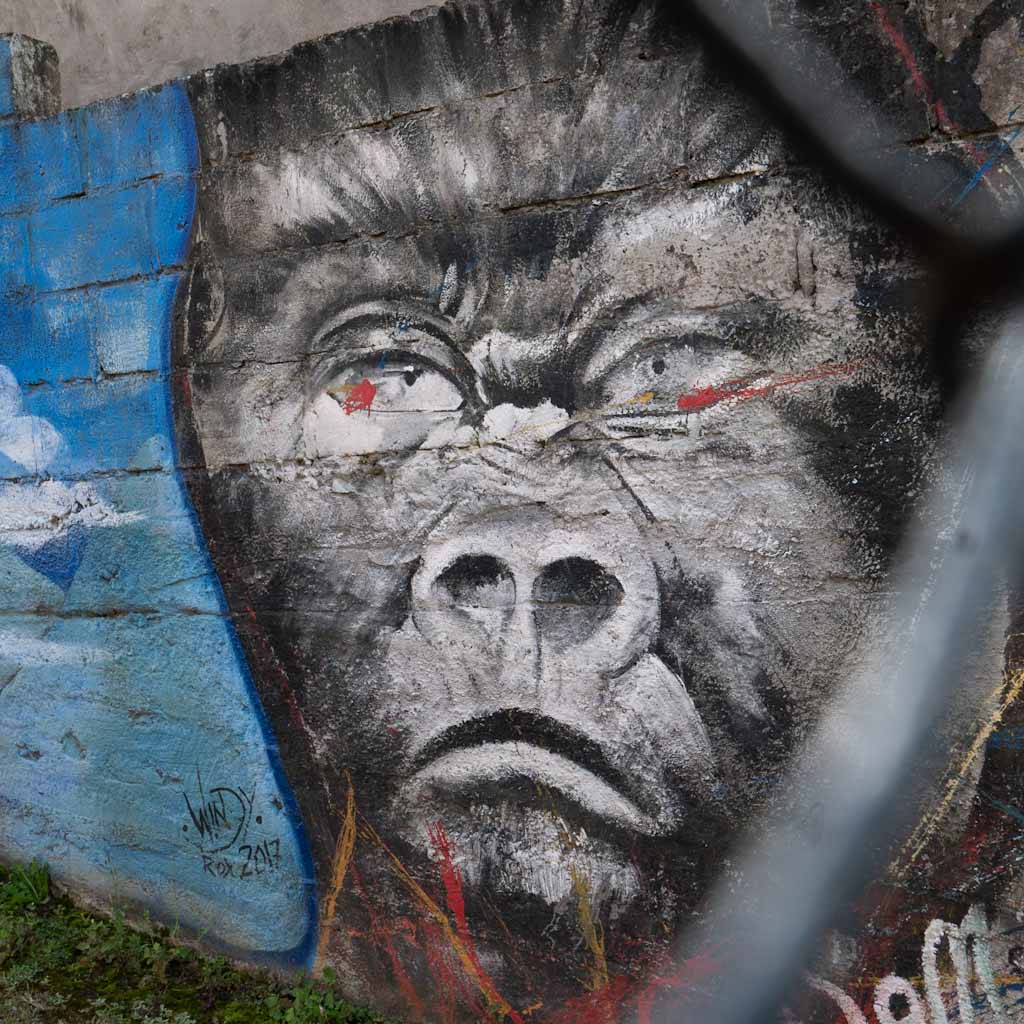 Street art in Banos: gorilla