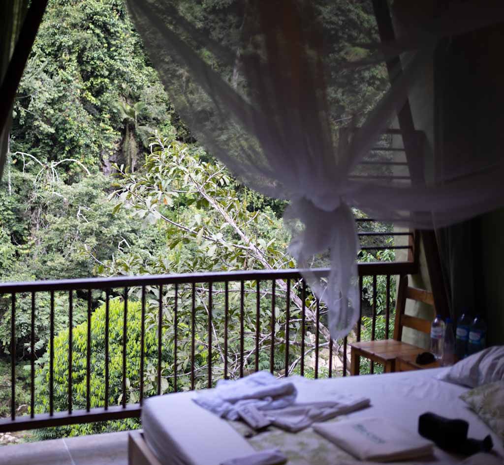 Bedroom in the Rio Claro jungle