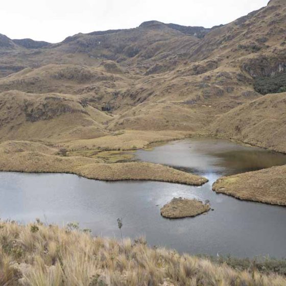 Panorama view of Toreadora area of Cajas