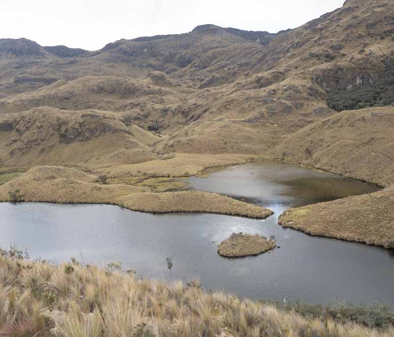 Panorama view of Toreadora area of Cajas