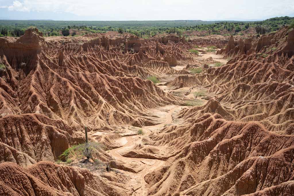 Panorama of the red desert