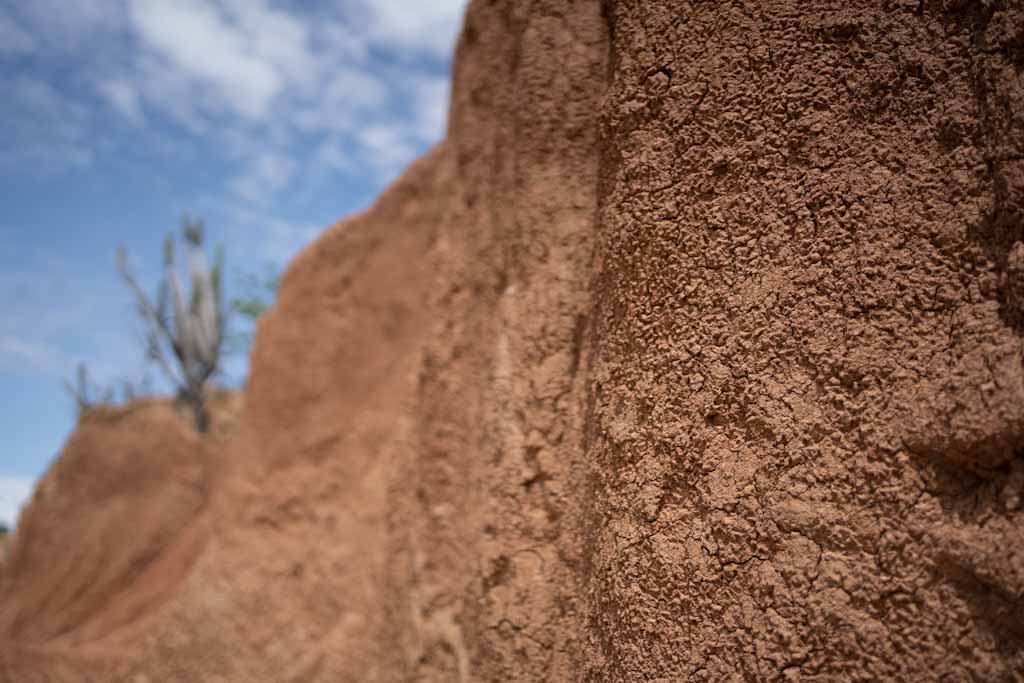 Close-up of soil in Desierto Tatacoa