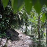 Footpath in Rio Claro