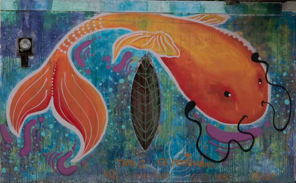Street art, fish near university