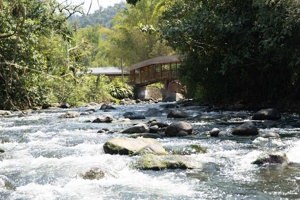 River on eastern edge of Mindo