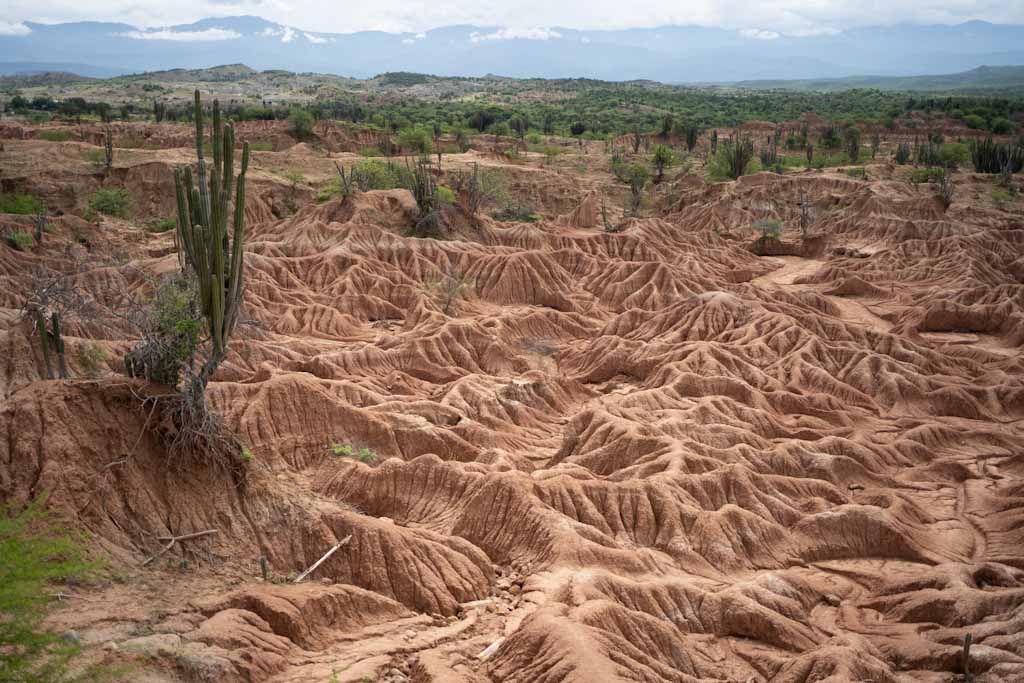 Panorama of the red desert