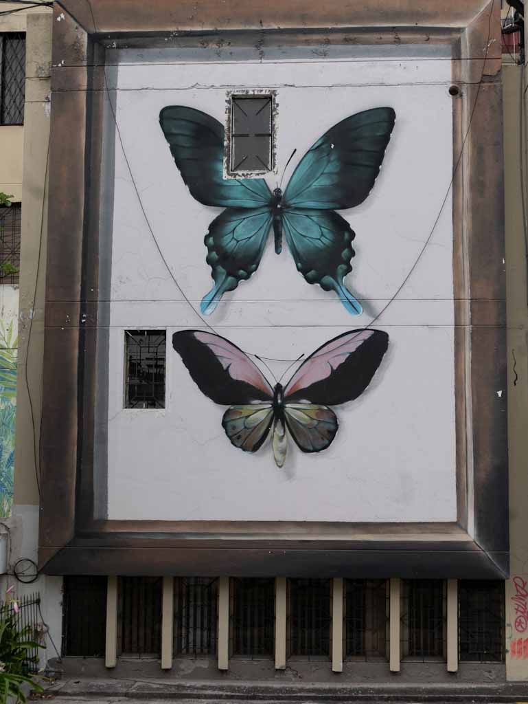 Quito street art: butterflies
