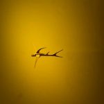 Flying fish in Gold Museum in Bogota