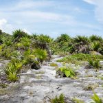 Landscape in Tulum fortress