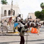 Horse and cart near Plaza Central in Merida