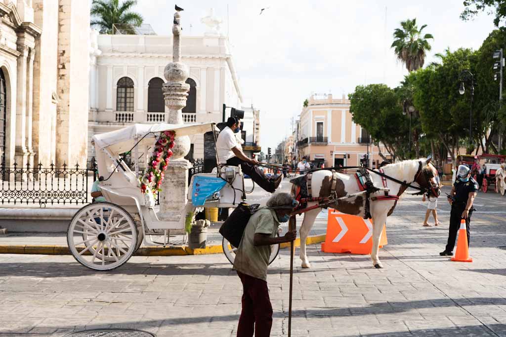 Horse and cart near Plaza Central in Merida